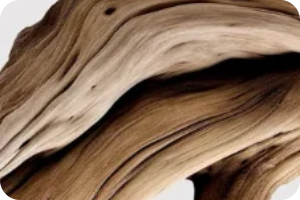 Ashwagandha KSM-66®