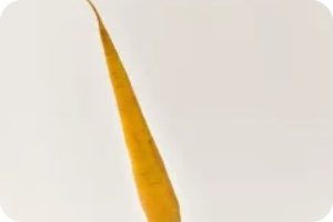 Zanahoria negra