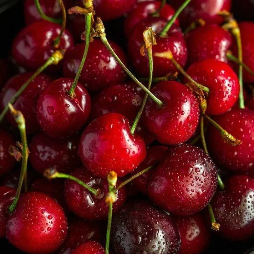 Extracto de cereza ácida