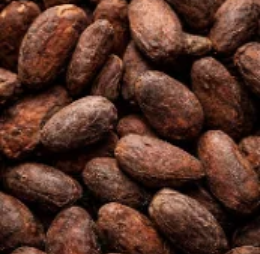 CACAO