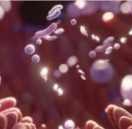 ENZIMAS DIGESTIVAS (DIGEZYME®)