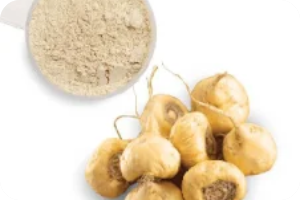 Maca