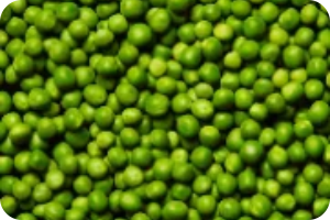 Proteína de guisante